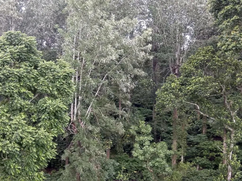 Δωμάτια σε οικογενειακή κατοικία Aditi Thekkady